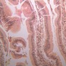 B14, Intestine, 20x (Fe)