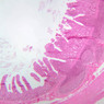 B18, Ileum, 2.5x (H&E)