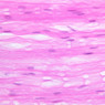 Neural Tissue